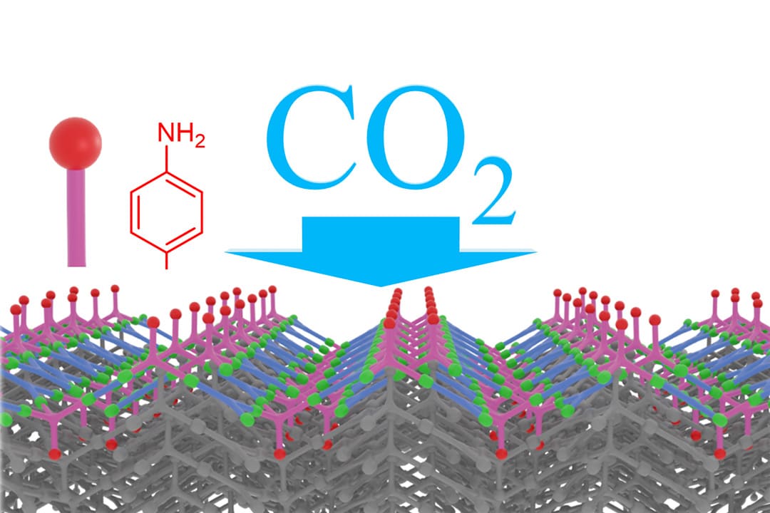 CO2分離回収材の開発